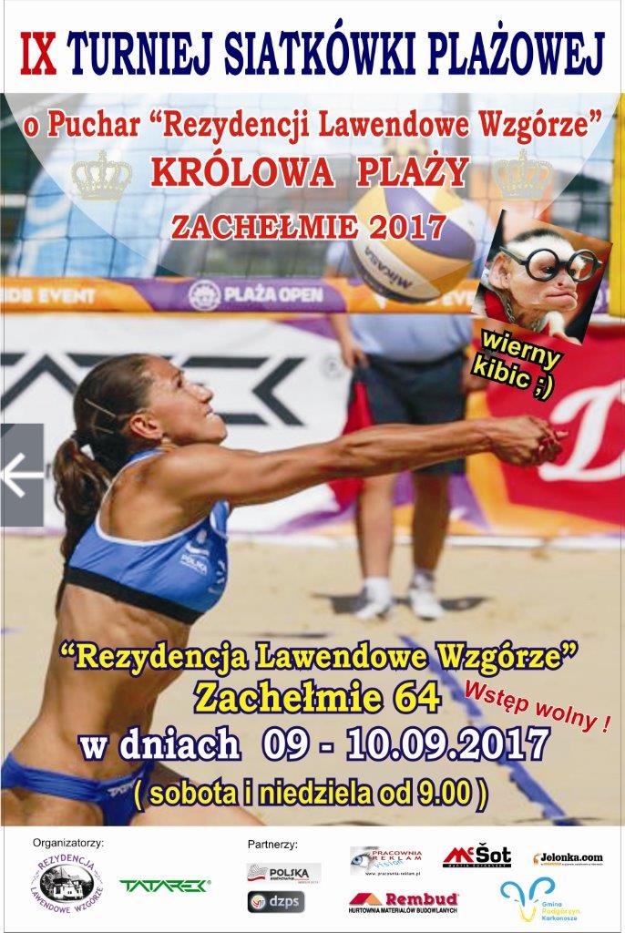 plakat siatka 2017